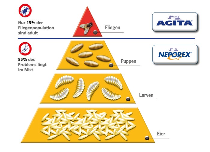 Pyramide bioprotection