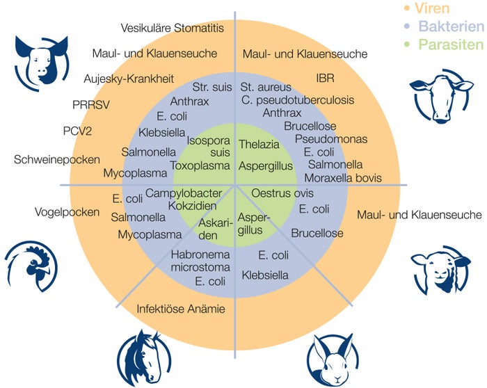 Viren Parasiten+Bakterien