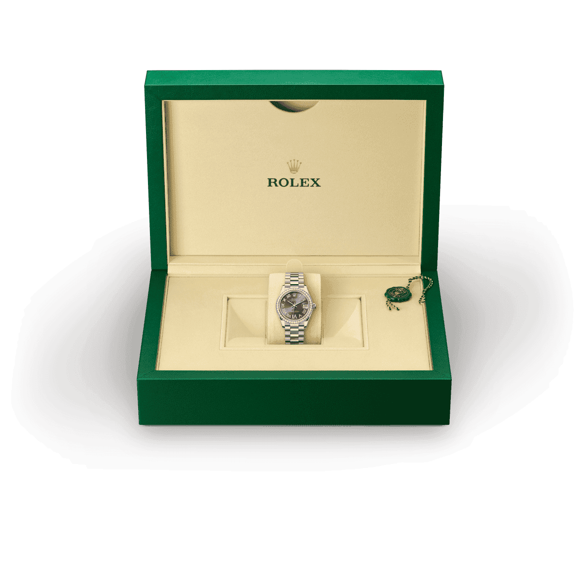 Rolex model availability information