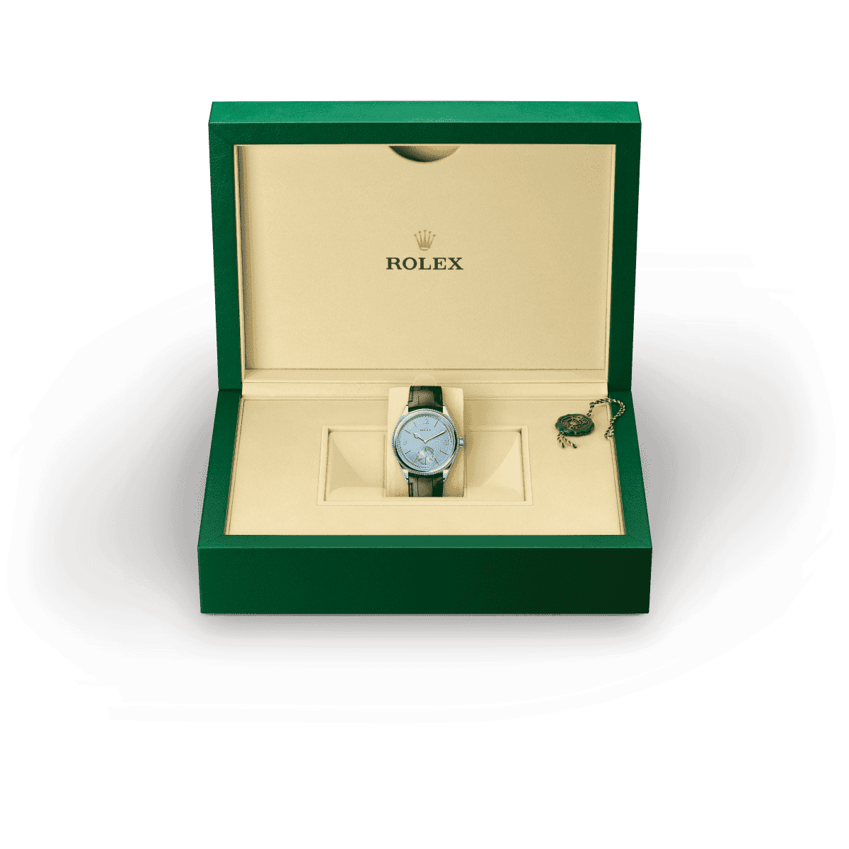 Rolex model availability information