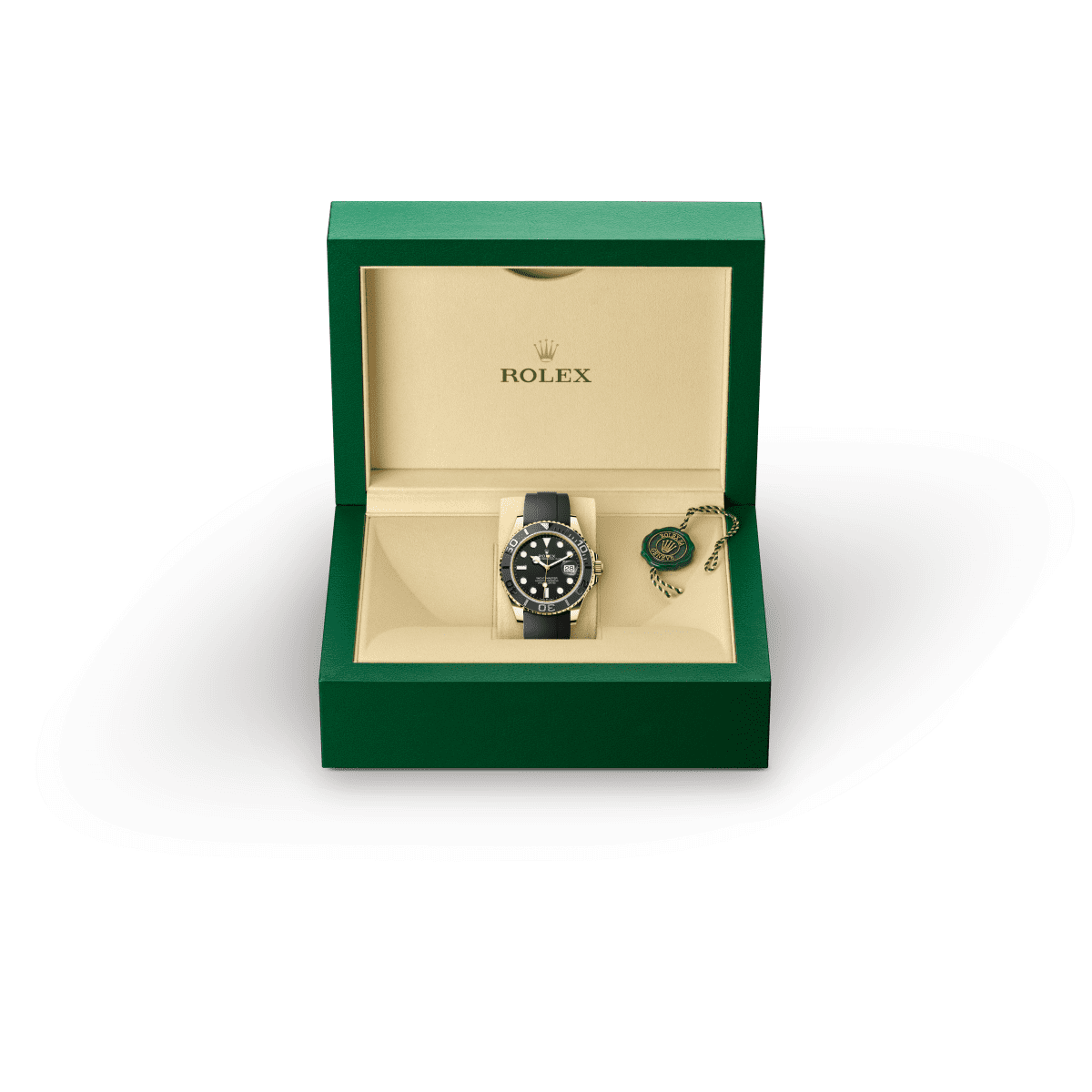 Rolex model availability information