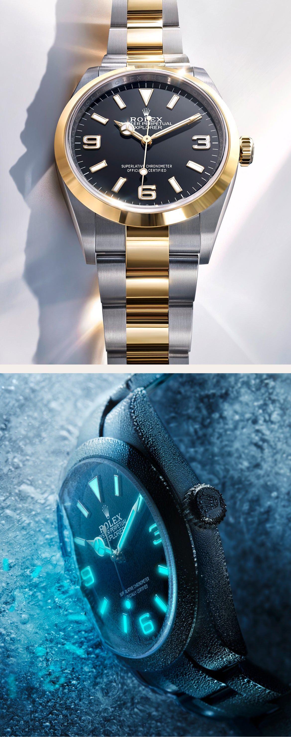 Rolex Explorer Watches | GASSAN