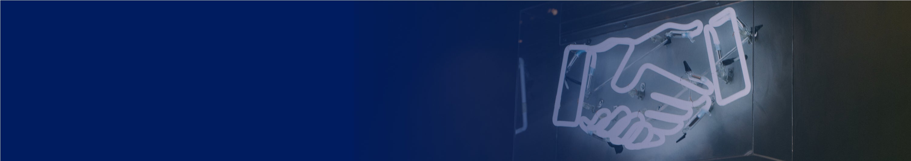 Beleggingspanden.nl|Diensten banner