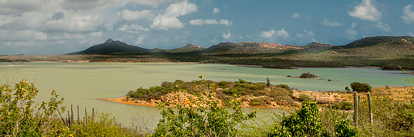 Nationaal Park Op Bonaire Bonaireparadise