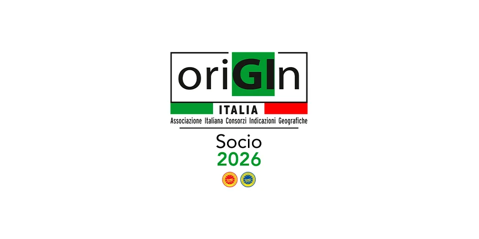 Logo von Origin Italia