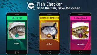 Fish Checker: Scan the Fish, Save the Ocean