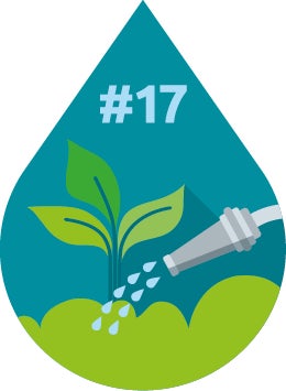 Tip 17 Sproeien bij plantwortels