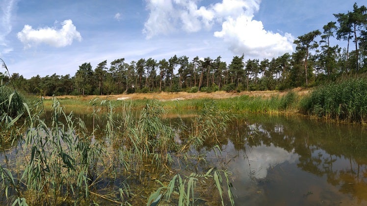 Waterwinning in Huijbergen