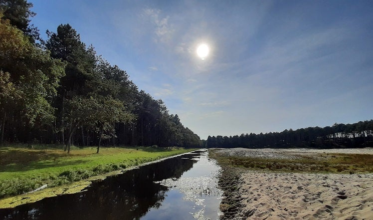 Waterwingebied in Oranjezon