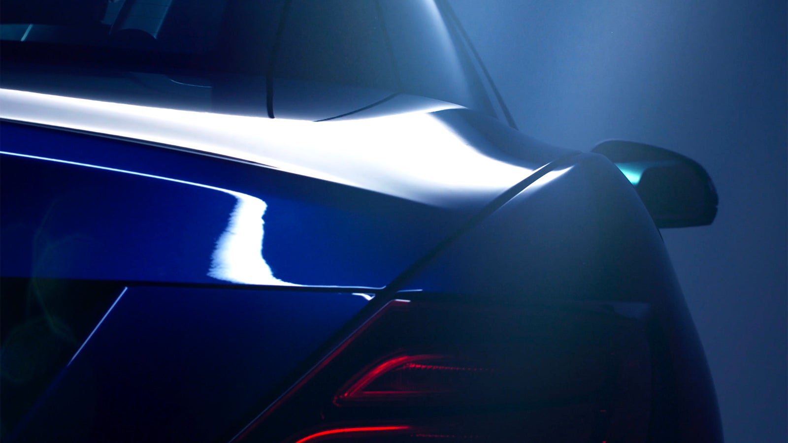 Williams paint protection