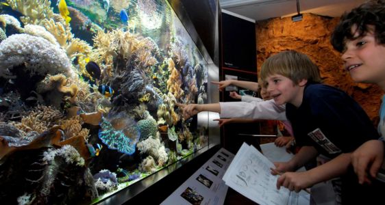 [external Link]: Naturmuseum Südtirol