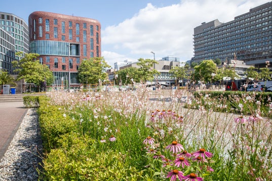 VU Campus