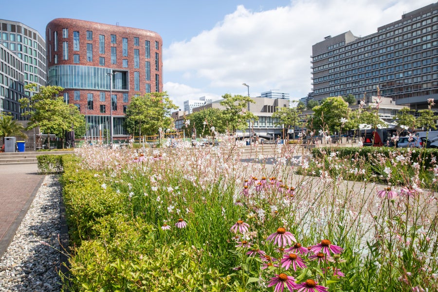 VU Campus