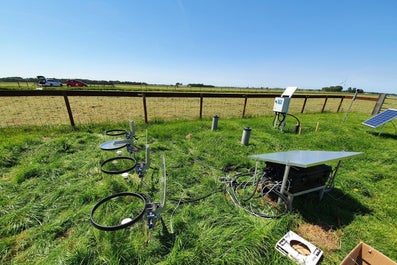 Nederlands veenweiden landschap