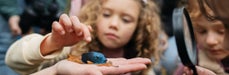 Kinderen onderzoeken slak 