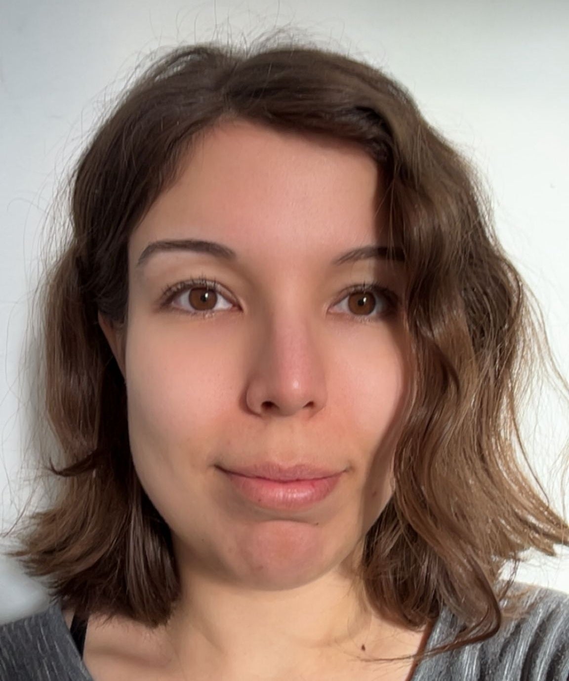 Bahar Heinis