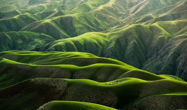 green, sloping landscape
