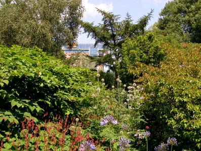 VU Botanical Garden