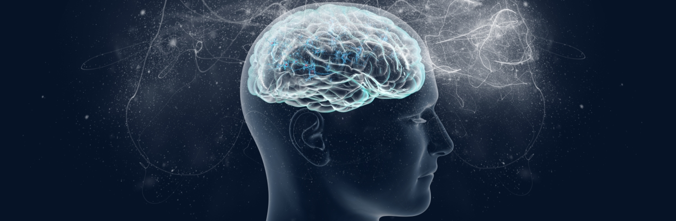 Brain activity