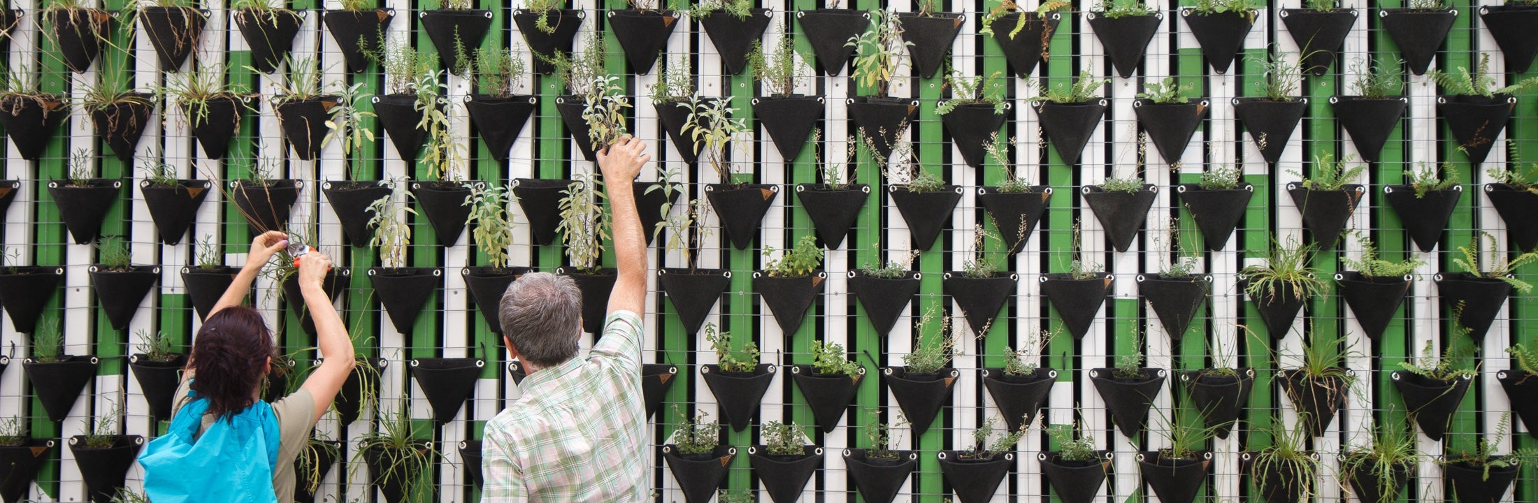 Hangende plantenbak
