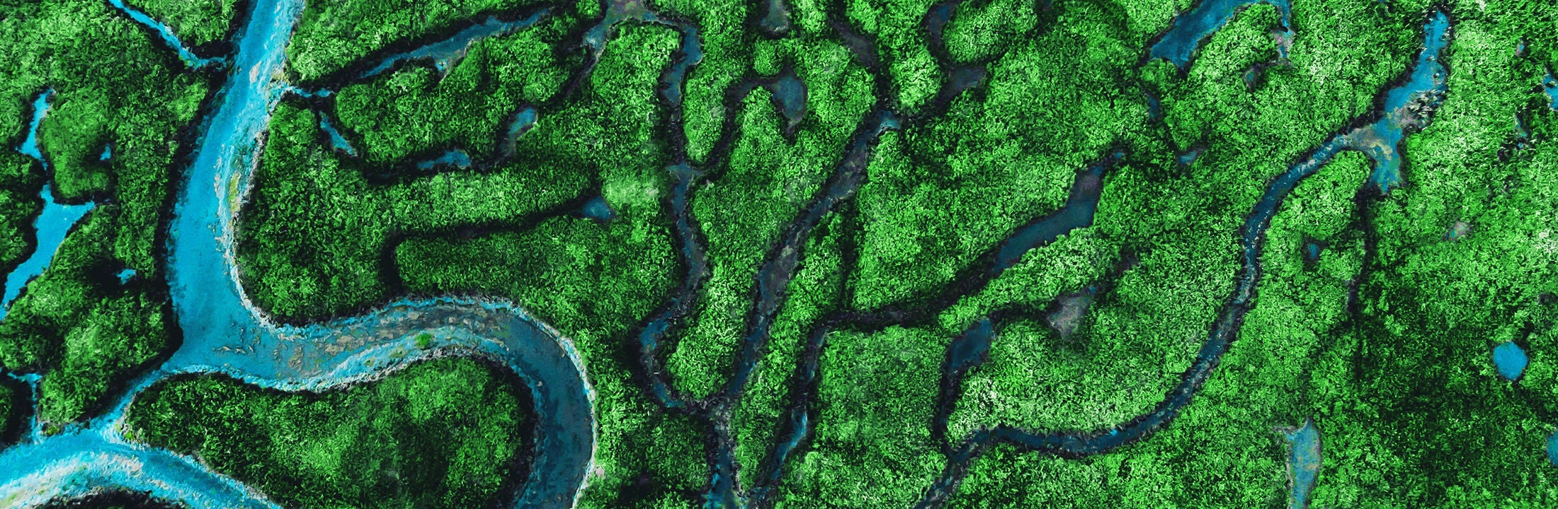 A river mouth in a swamp area