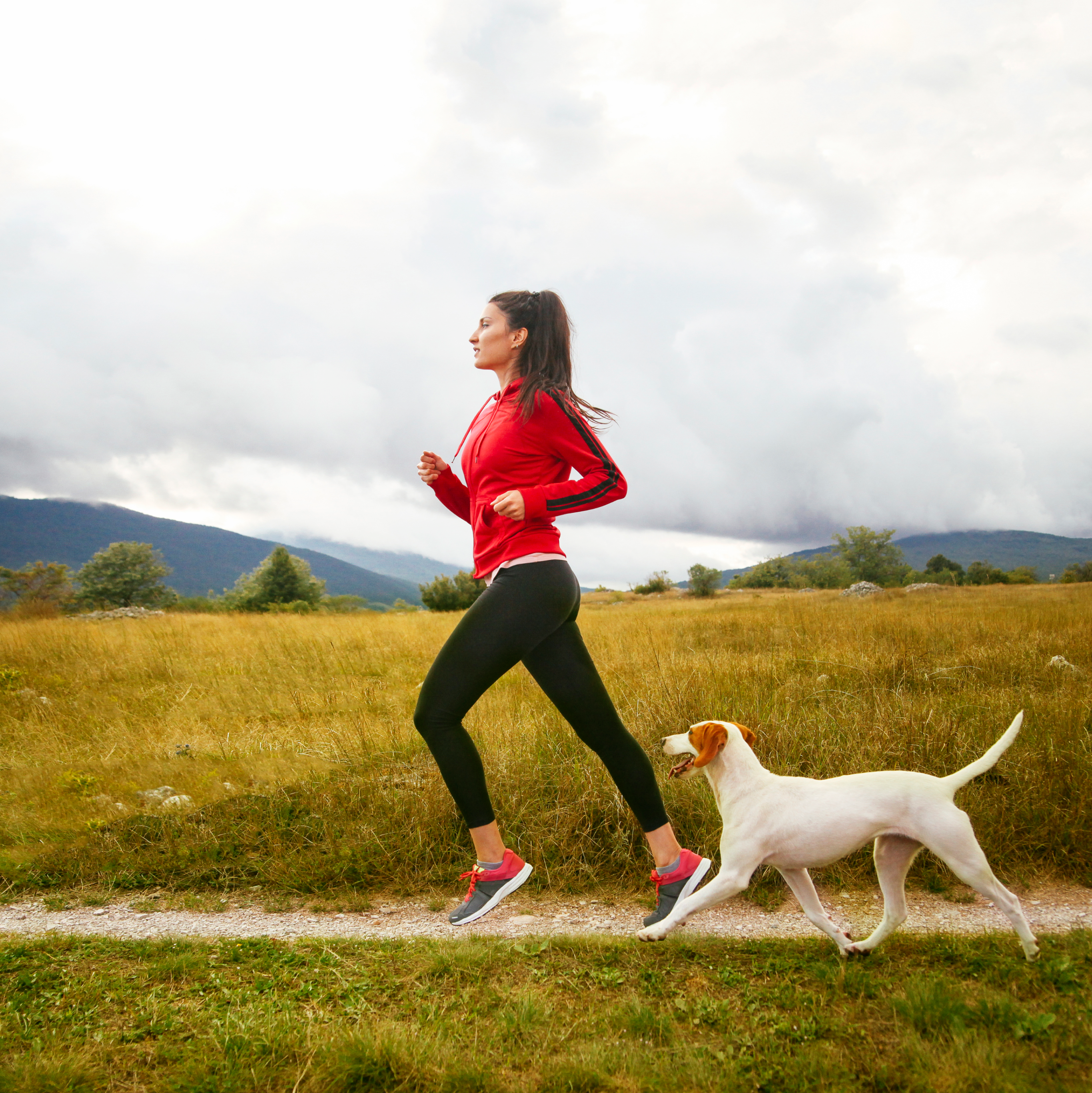 Woman jogs through cloudy countryside with white dog