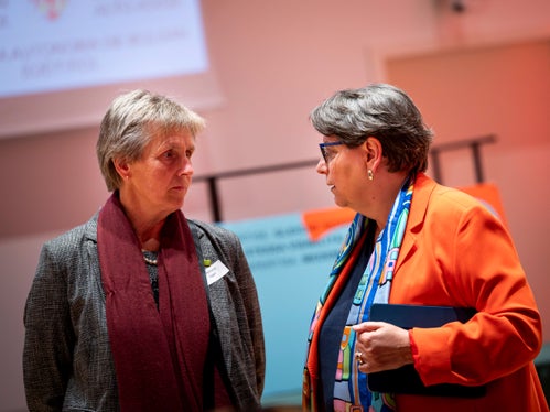  (Foto: USP/Fabio Brucculeri)