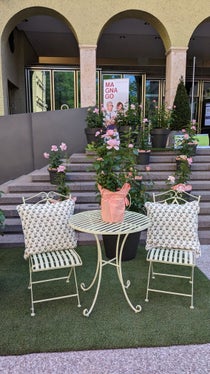 Die Treppe des Südtiroler Landtags als Kulisse