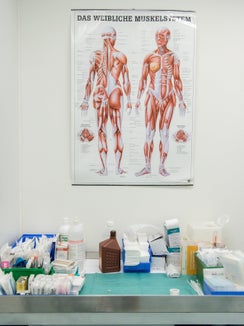 Infarto cardiaco, depressione, osteoporosi, diabete o emicrania e molte altre malattie hanno un decorso diverso nelle donne e negli uomini. La Provincia intende contribuire a integrare queste conoscenze nella ricerca, nella formazione e nella pratica quotidiana. (Foto: USP/Claudia Corrent)