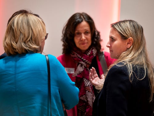  (Foto: USP/Fabio Brucculeri)