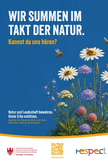 Die Bienen summen im Takt der Natur. Kannst du uns hören?
Genieße den Klang der Natur und nimm alles wahr, ohne es zu übertönen.