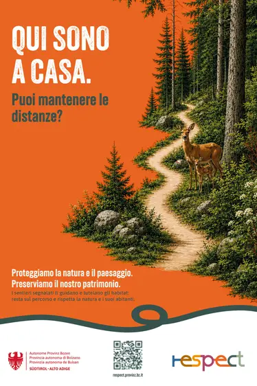 Qui sono a casa. Puoi mantenere le distanze?
I sentieri segnalati ti guidano e tutelano gli habitat: resta sul percorso e rispetta la natura e i suoi abitanti.