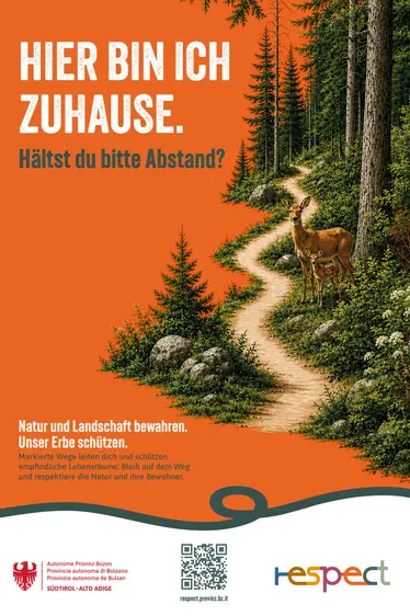 Die Tiere sind im Wald zuhause. Hältst du bitte Abstand?
Markierte Wege leiten dich und schützen empfindliche Lebensräume: Bleib auf dem Weg und respektiere die Natur und ihre Bewohner.