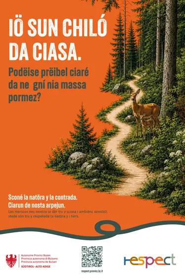 Iö sun chiló da ciasa. Podëise prëibel ciaré da ne gní nia massa pormez? Les mersces nes mostra le dër tru y scona i ambiënc sensibli: stede sön tru y respetede la natöra y i tiers.