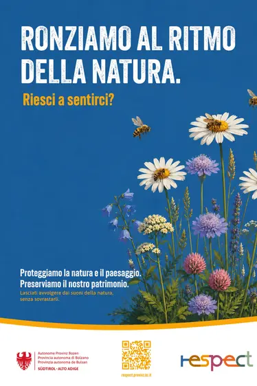 Le api ronzano al ritmo della natura. Riesci a sentirci?
Lasciati avvolgere dai suoni della natura, senza sovrastarli.