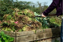 10 steps to sustainable gardening