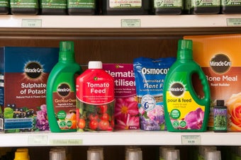 How plants absorb nutrients