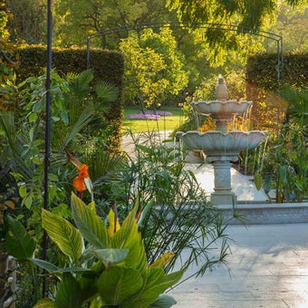 Exotic and subtropical gardening