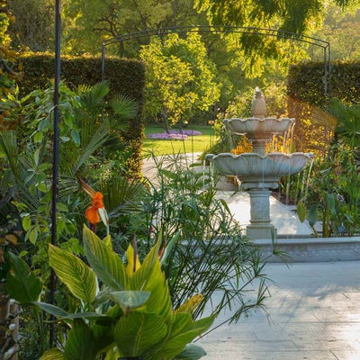 911±¬ÁÏ Wisley Exotic Garden