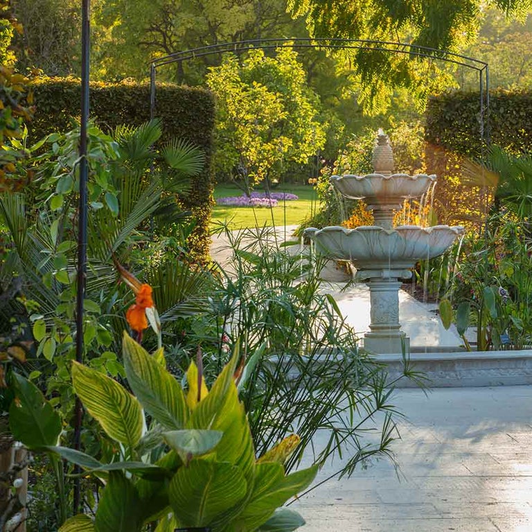 Exotic and subtropical gardening