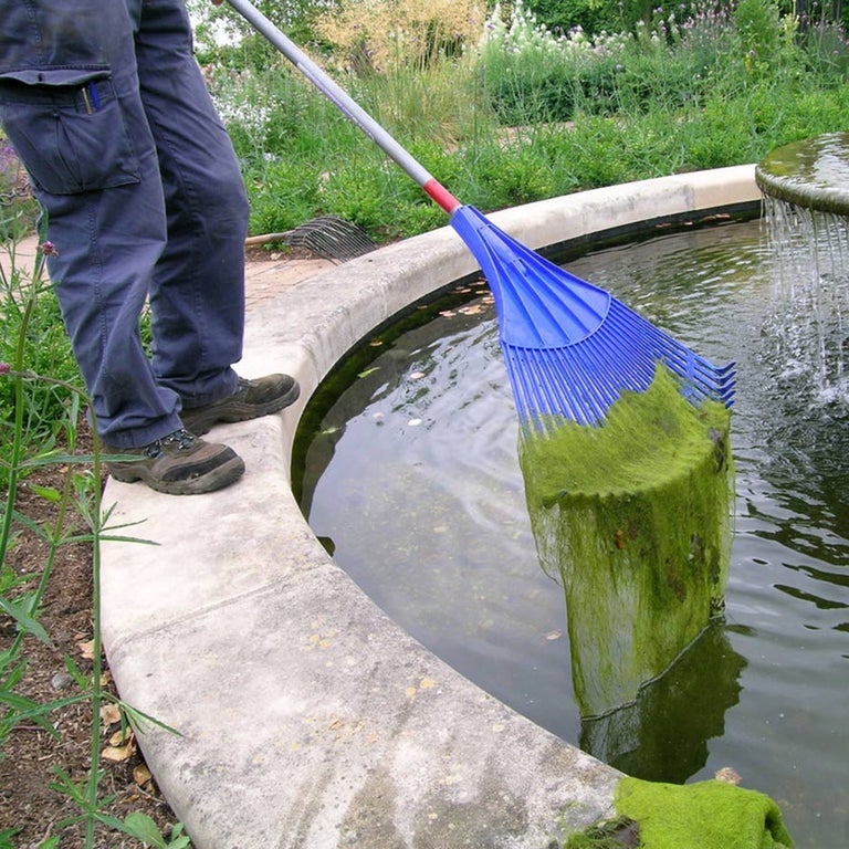 Pond care
