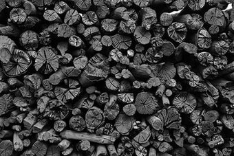Biochar