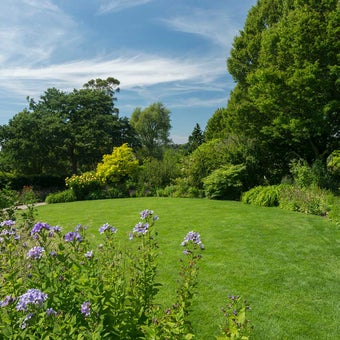 Lawn care in spring & summer