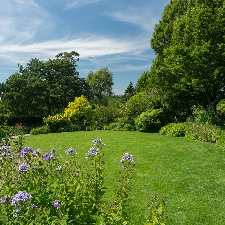 Lawn care in spring & summer