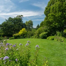 A well-maintained lawn in summer