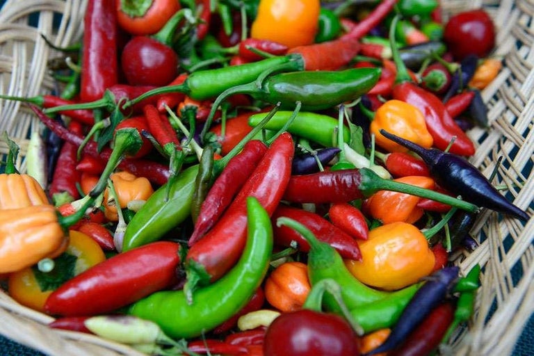 Buy chilli peppers at RHSplants.co.uk