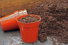 Alternatives to peat