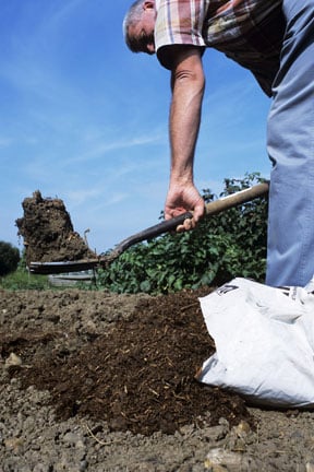 Organic matter: how to use in the garden