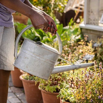 How to water containers