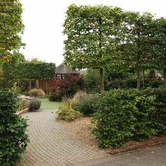 Pleached walks, tunnels and arbours